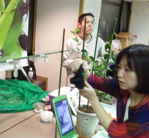 f:id:otokomaeno:20121117085101j:image