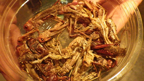 f:id:otokomaeno:20121117085752j:image f:id:otokomaeno:20121117085752j:image
