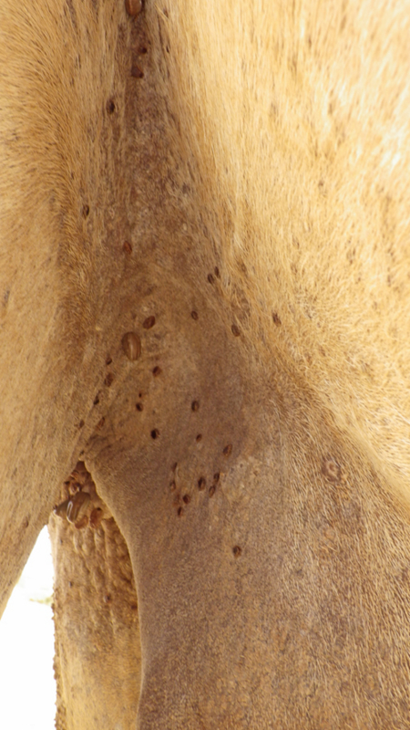 f:id:otokomaeno:20121225135833j:image