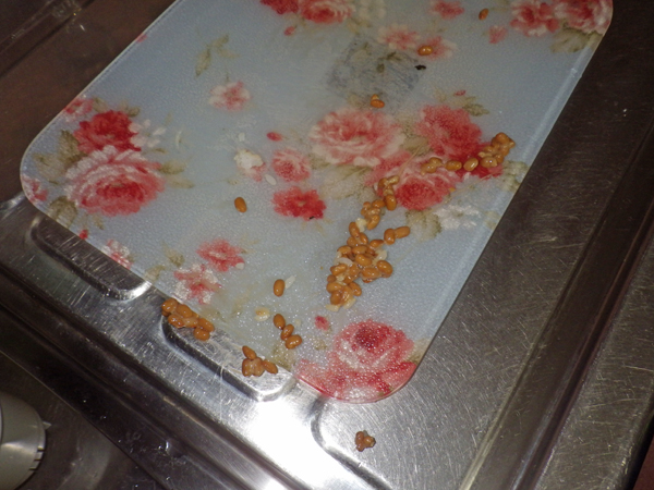 f:id:otokomaeno:20130310124347j:image f:id:otokomaeno:20130310124347j:image