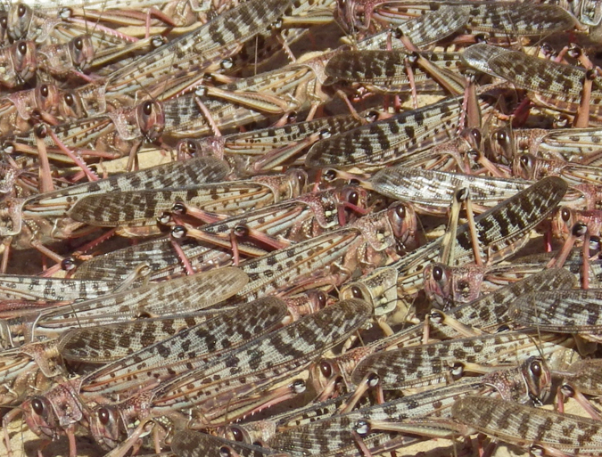 f:id:otokomaeno:20170122115256j:image