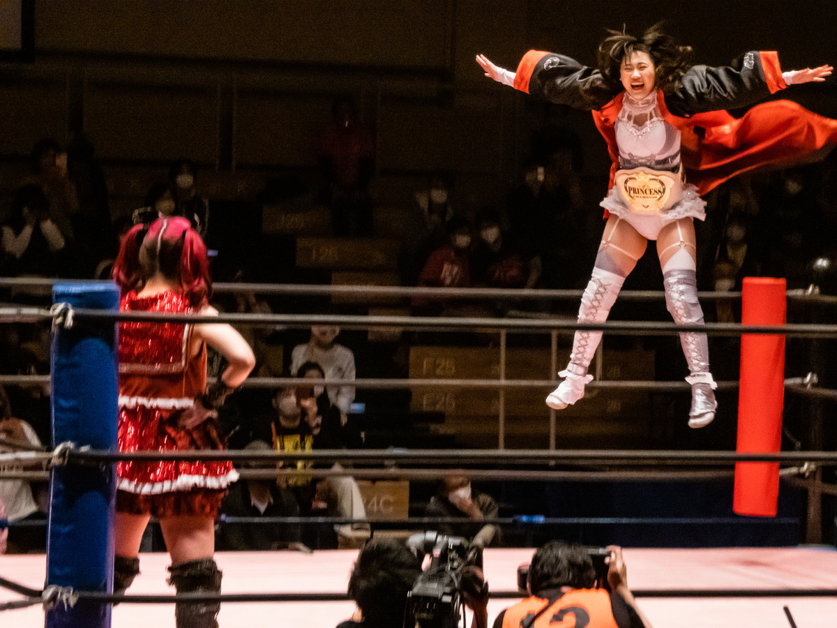プロレス プロレス