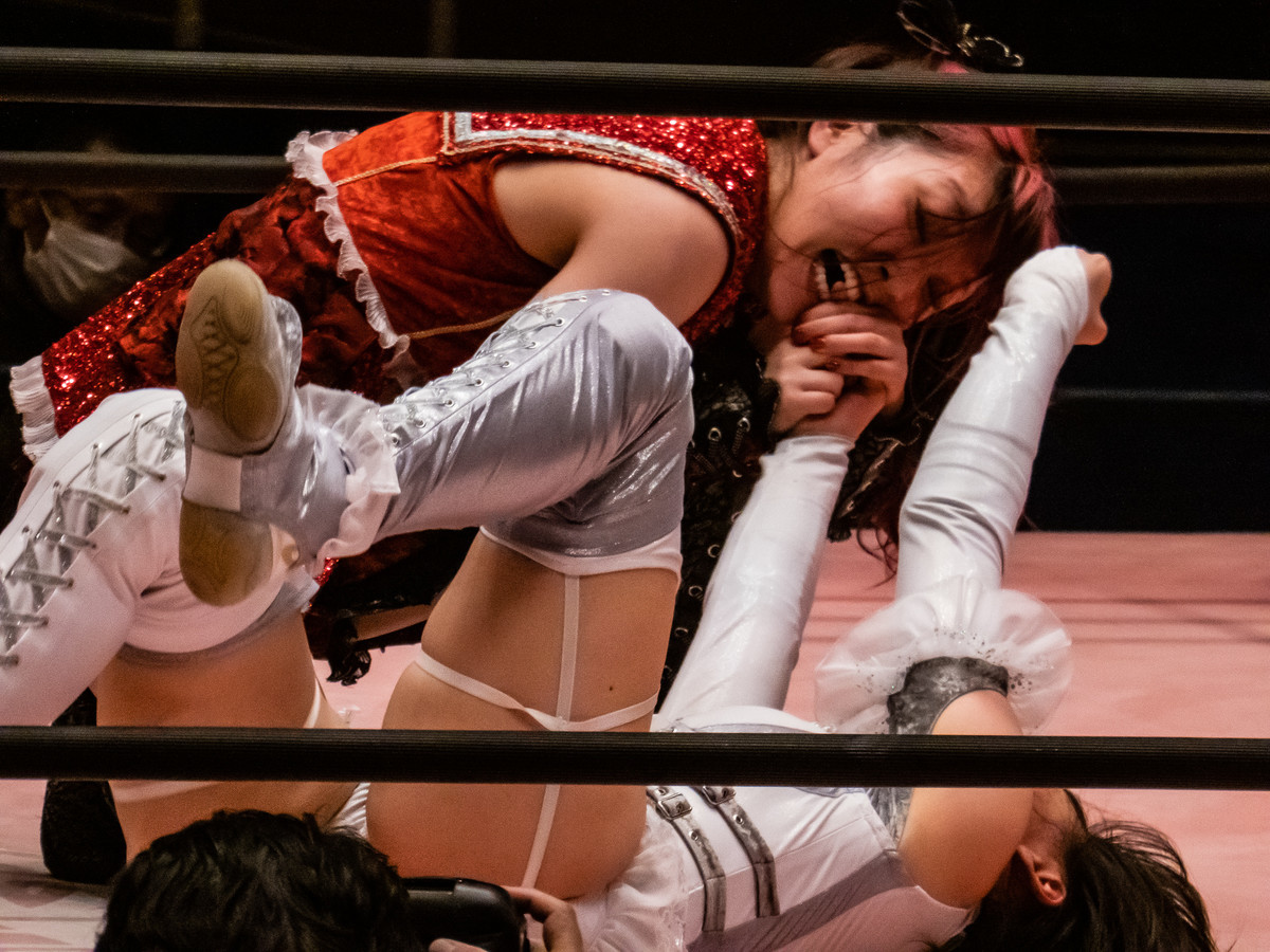 プロレス プロレス