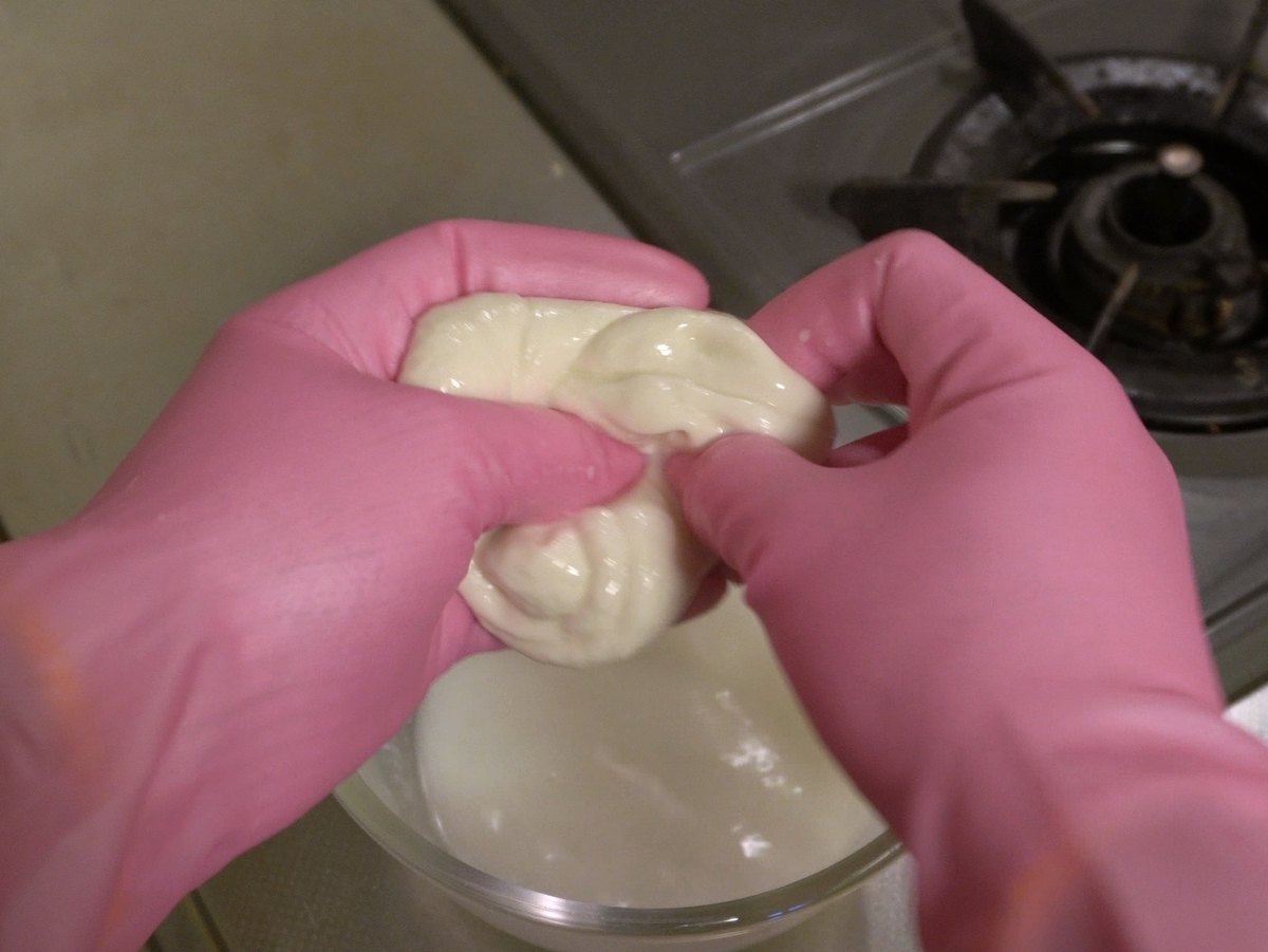 f:id:otokonakamura:20210419100538j:plain