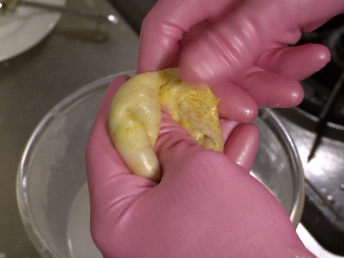 f:id:otokonakamura:20210419100621j:plain