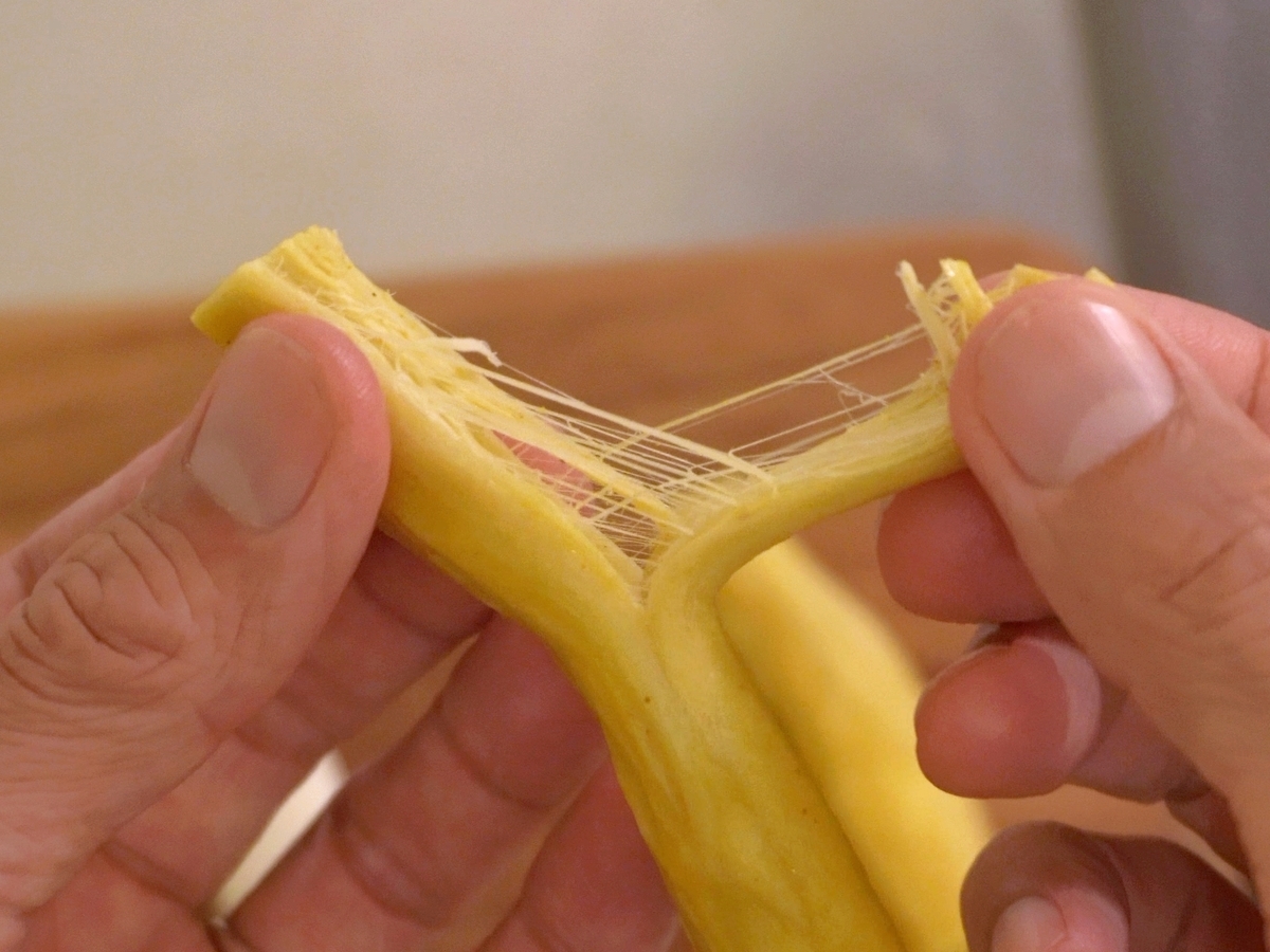 f:id:otokonakamura:20210419100657j:plain