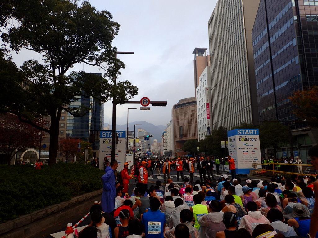 f:id:otokonodiet:20161122180834j:plain