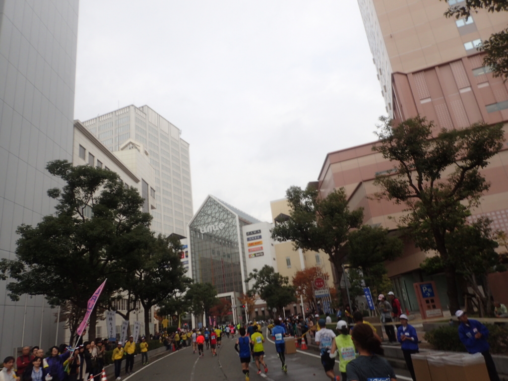 f:id:otokonodiet:20161122220554j:plain