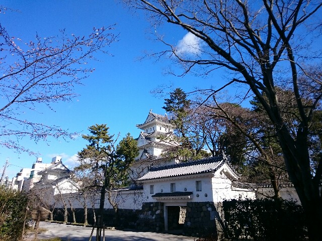 f:id:otokonodiet:20170101083115j:image