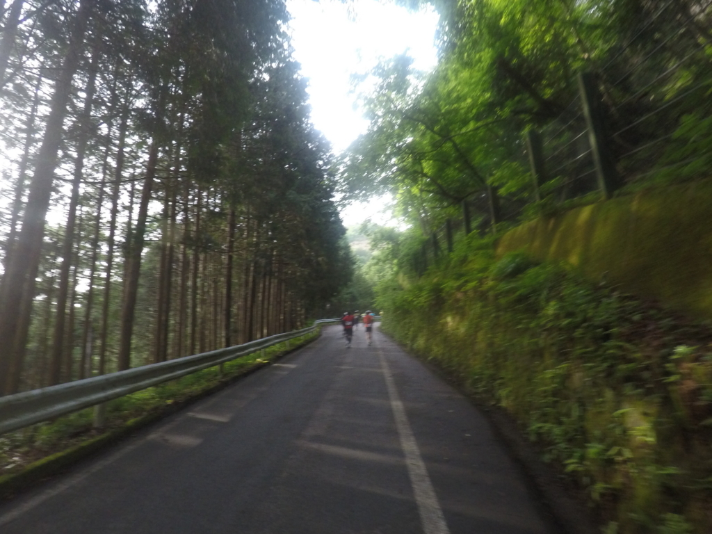 f:id:otokonodiet:20170613140256j:plain
