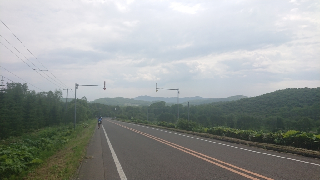 f:id:otokonodiet:20180627100730j:plain