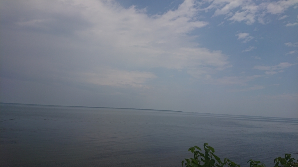 f:id:otokonodiet:20180630093901j:plain f:id:otokonodiet:20180630093901j:plain