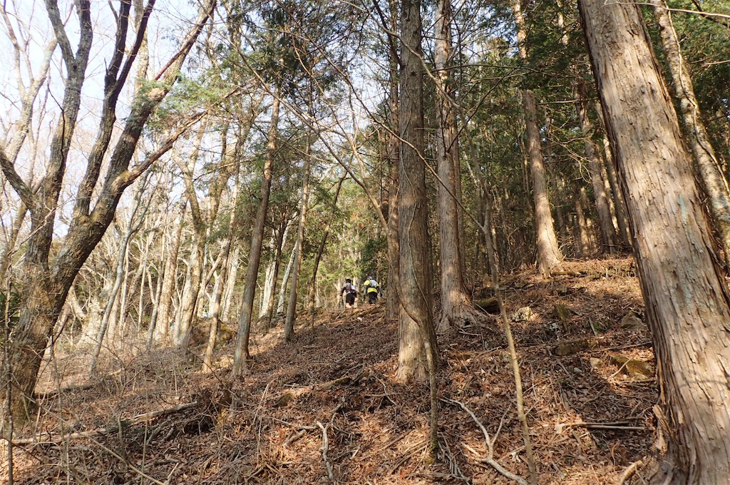 f:id:otokonodiet:20190408144437j:image f:id:otokonodiet:20190408144437j:image