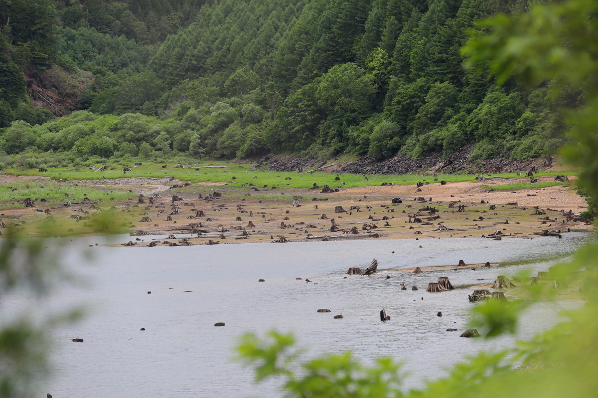 f:id:otokonodiet:20190722093743j:plain f:id:otokonodiet:20190722093743j:plain