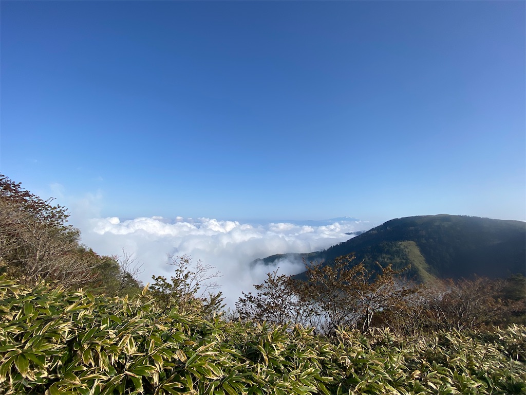 f:id:otokonodiet:20200527102227j:image f:id:otokonodiet:20200527102227j:image