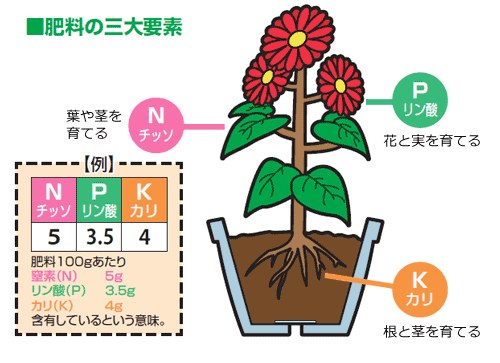 f:id:otoku-otaku:20210404122237p:plain