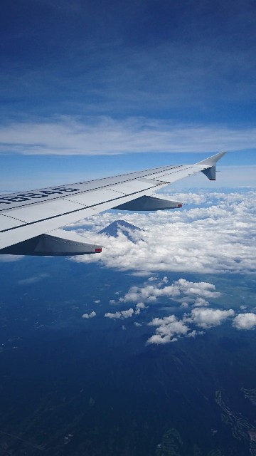 21年夏季のanaの特典航空券にチャレンジ 無理を可能に 調べまくってお得に旅行や日常を楽しもう