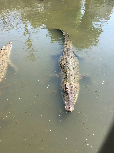 f:id:otokutrip:20180324153847j:image