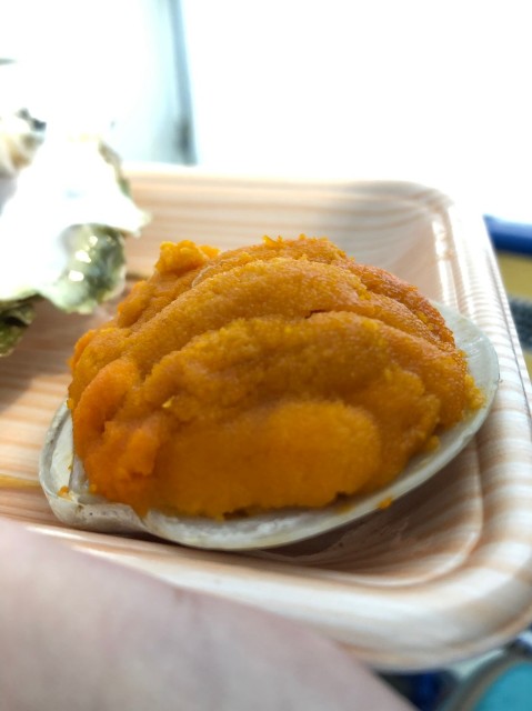 f:id:otokutrip:20190311233858j:image