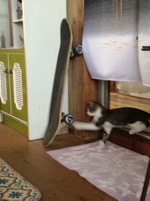 f:id:otomategus:20180820082916j:image f:id:otomategus:20180820082916j:image