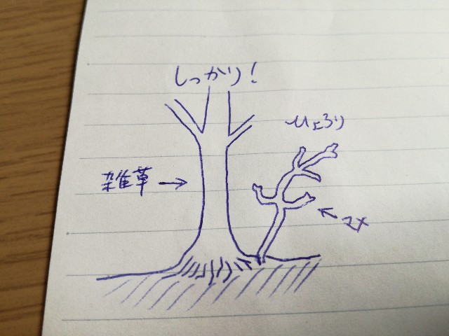 f:id:otomategus:20180910130131j:image
