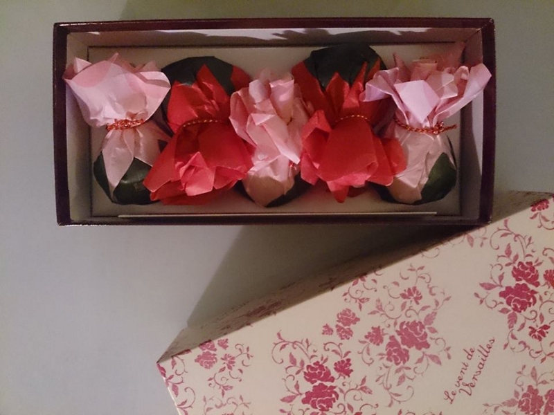 f:id:otome_classic:20150603210440j:plain f:id:otome_classic:20150603210440j:plain