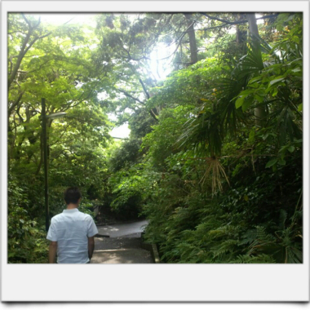 f:id:otome_classic:20150708222733j:plain