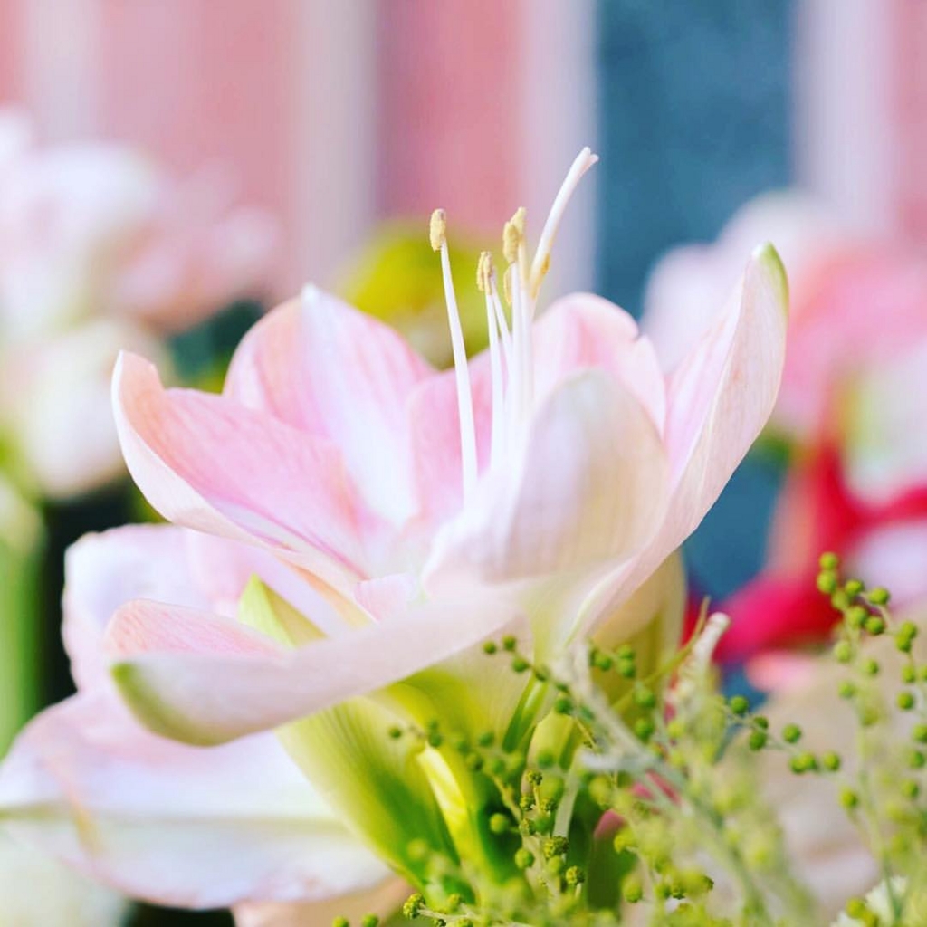 f:id:otome_classic:20170105210208j:plain f:id:otome_classic:20170105210208j:plain