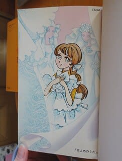 14年かかりました。 - 乙女猫日記