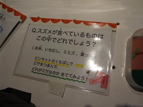 f:id:otominarukami:20180108002741j:plain