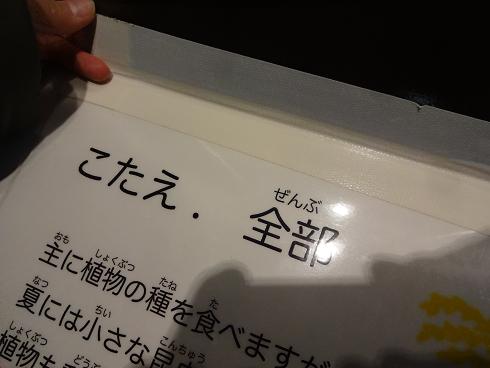 f:id:otominarukami:20180108003036j:plain