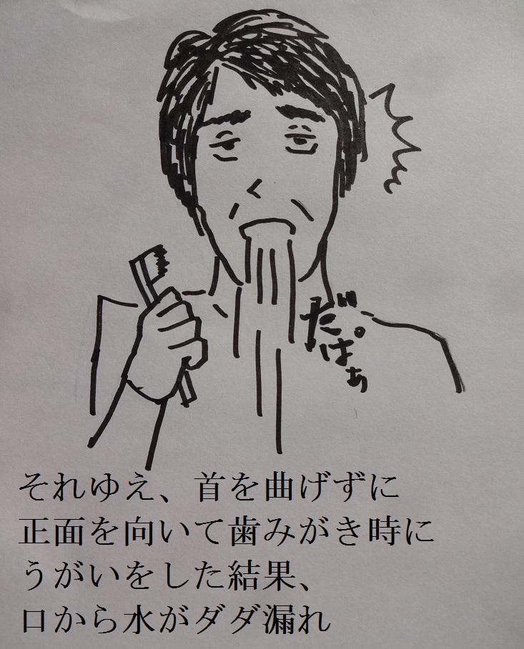 f:id:otominarukami:20180130233033j:plain