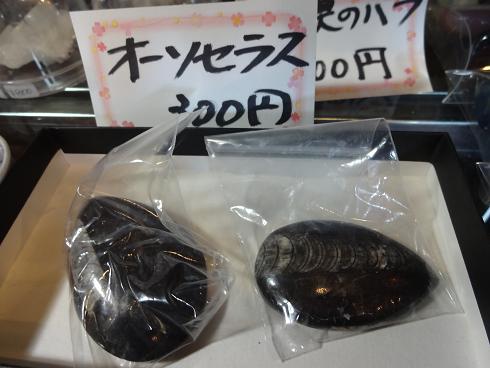 f:id:otominarukami:20180918154608j:plain