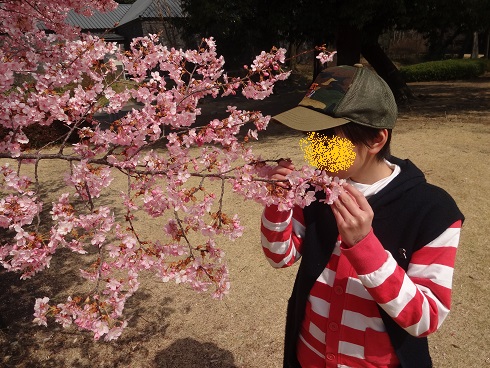 f:id:otominarukami:20190316221722j:plain
