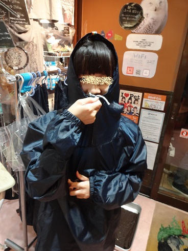 f:id:otominarukami:20190718100706j:plain