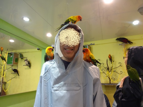 f:id:otominarukami:20190718153425j:plain