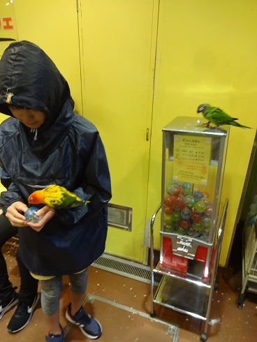 f:id:otominarukami:20190718153842j:plain