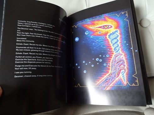 OnOFFトゥール/フィア・イノキュラム Amazon.com: Fear Inoculum: CDs & Vinyl
