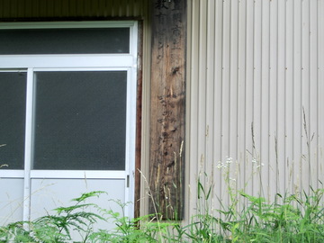 CIMG1545.JPG