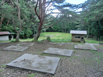 CIMG1550.JPG