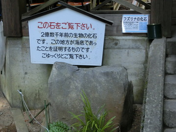 CIMG0026.JPG