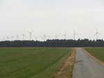 CIMG0574.JPG