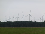 CIMG0575.JPG