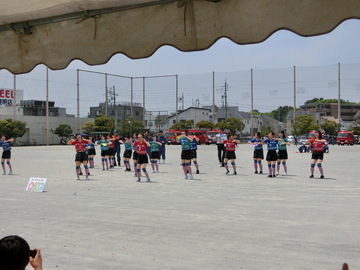 CIMG7495.JPG