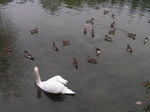 20070214NagoyaCastle01.JPG