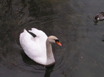20070214NagoyaCastle02.JPG
