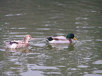 20070214NagoyaCastle13.JPG