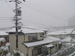 PICT2080.JPG