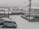 PICT2081.JPG