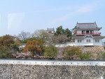 PICT2211.JPG